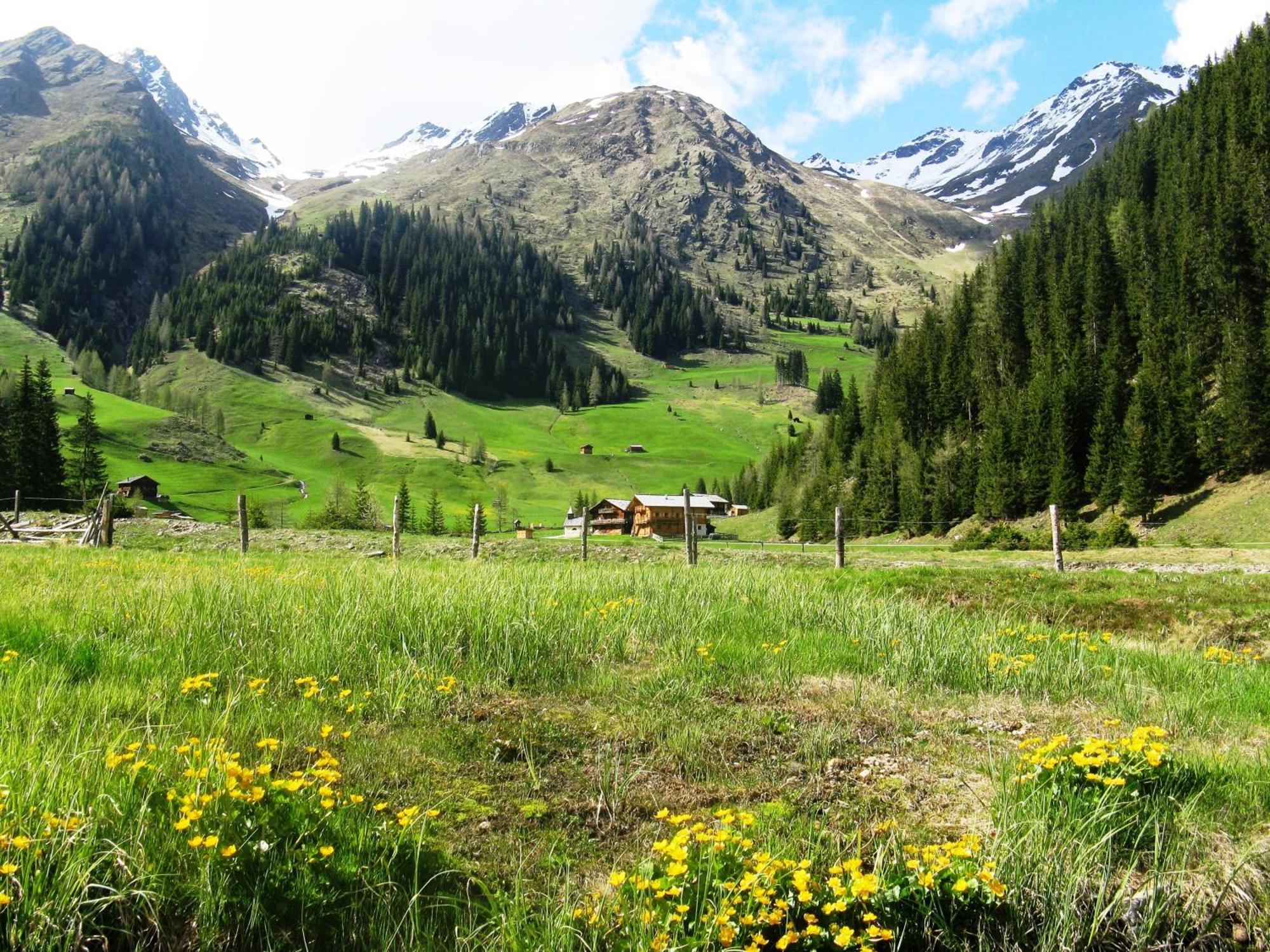 Die Natur Residenz 이너빌그라텐 외부 사진